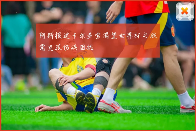 阿斯报道卡尔多索渴望世界杯之旅需克服伤病困扰