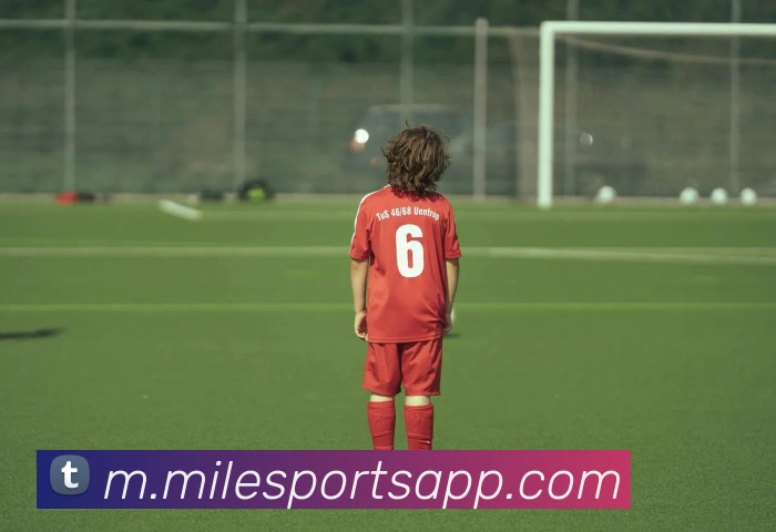 App Interface Preview