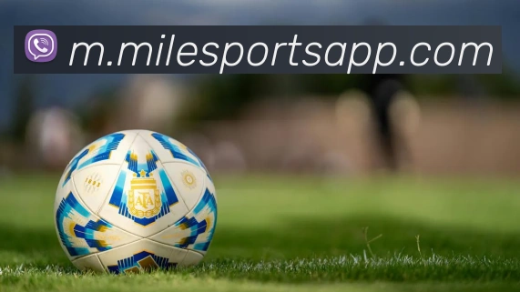 米乐体育APP 封面图